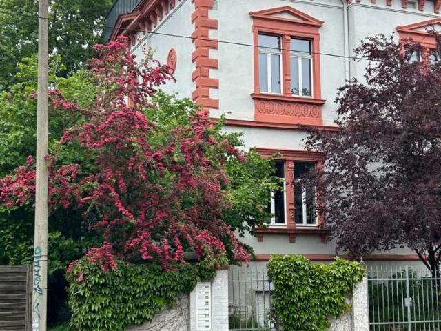 Charmante Altbauwohnung mit Garten in Leipzig Leutzsch