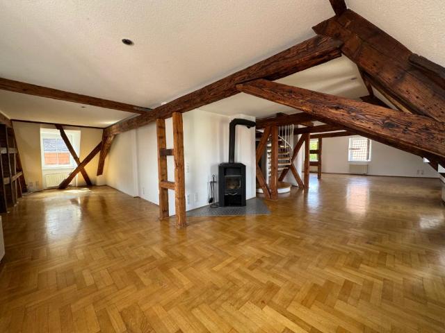 Charmante Altbauwohnung mit über 200m² Wohnfläche direkt in der Innenstadt