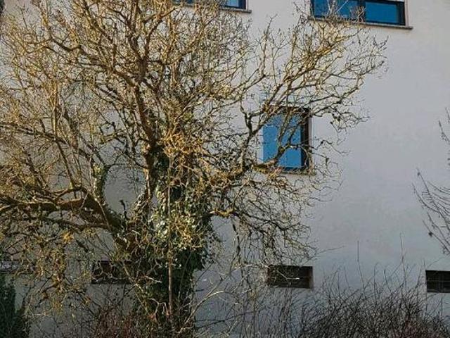 Charmante Doppelhaushälfte zu verkaufen ab Oktober 2027