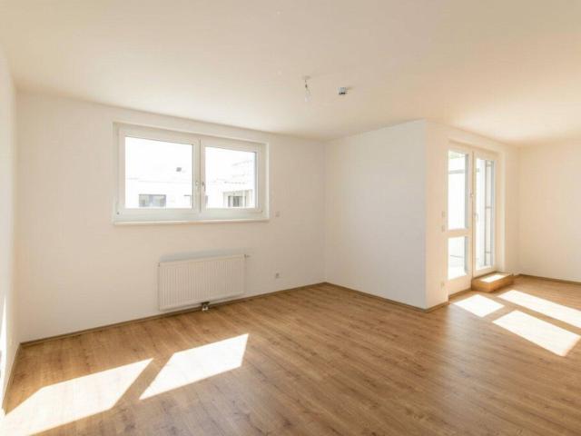 Charmante Erstbezugswohnung mit Dachterrasse
