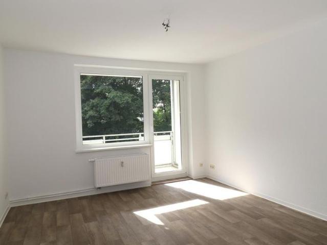 Charmante Kaßberg Wohnung mit 3 Zimmern und Balkon