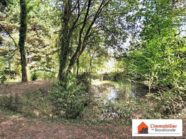 Charmante longère en Brocéliande sur 2 500m² 97m² Paimpont
