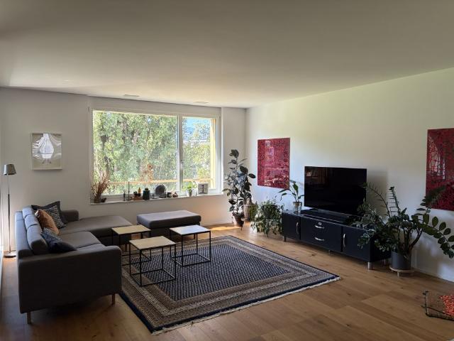 Charmante möblierte 3.5 Zimmer Wohnung mit Dachterrasse im Herzen von Luzern