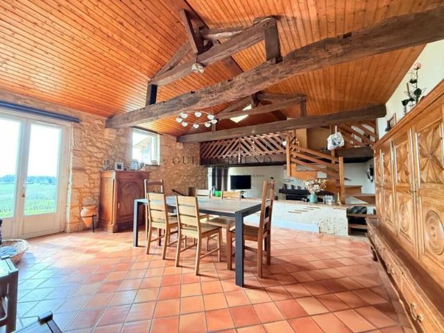 Charmante maison au milieu des vignes