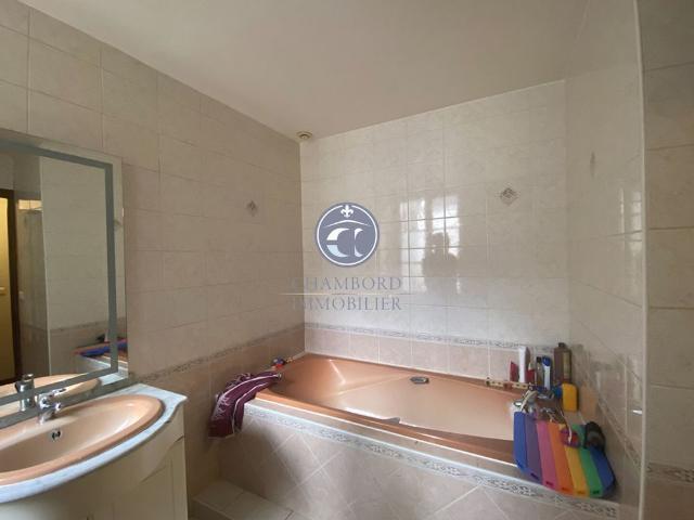 Charmante maison authentique Selles Sur Cher 4 pièces 91 m2