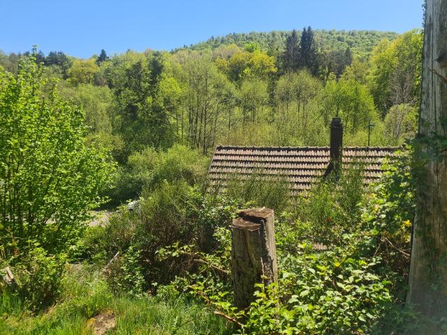 Charmante maison avec grand terrain à Obersteinbach