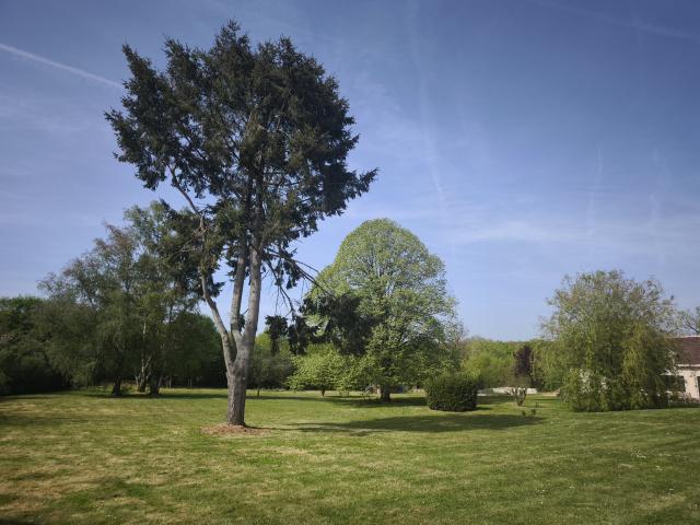 Charmante maison avec grand terrain à Rivarennes 36