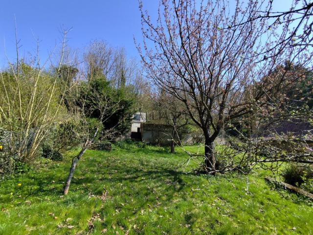 Charmante maison avec dépendance et grand terrain arborés
