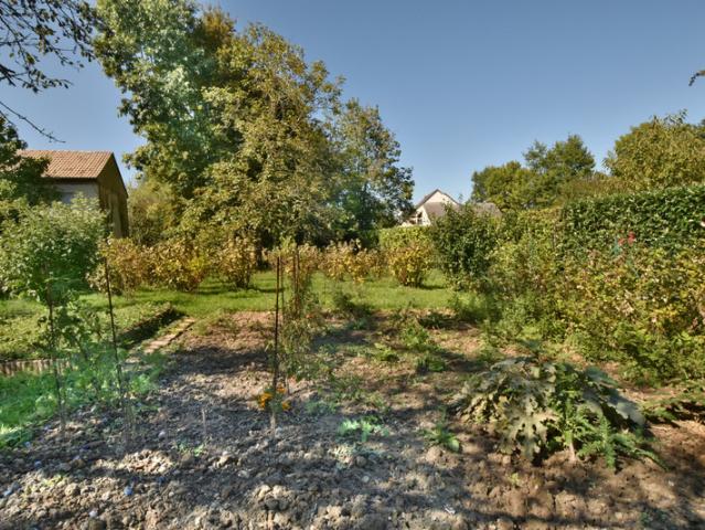 Maison ancienne 4 pièces avec terrain arboré de 1907 m² – secteur Nuits Saint Georges