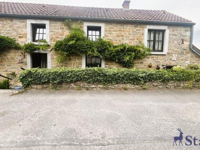 Charmante maison de caractère en pierre du pays