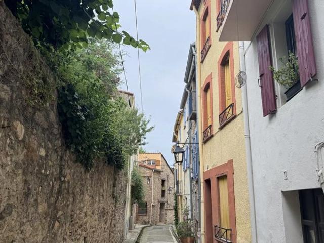 Charmante maison de village avec terrasse et vue sur le Canigou