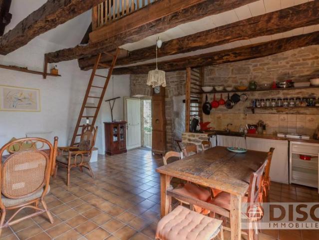 Charmante maison en pierre avec jardin