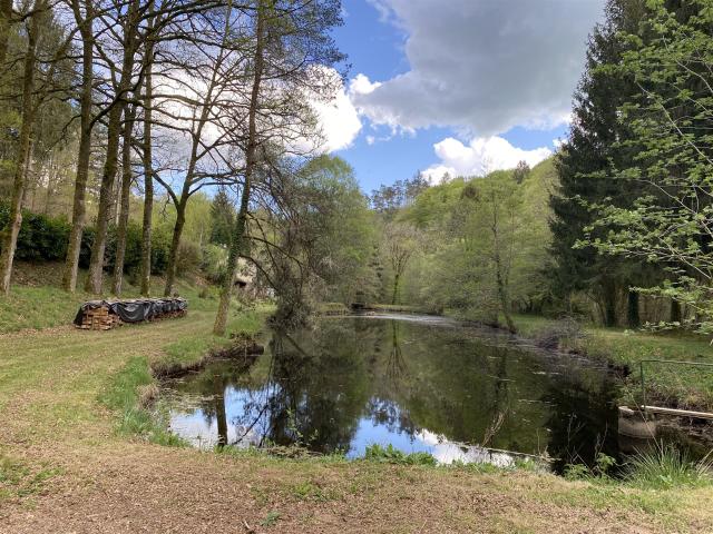 Charmante maison en pierre située sur la commune de Nedde, d. 80m² Nedde