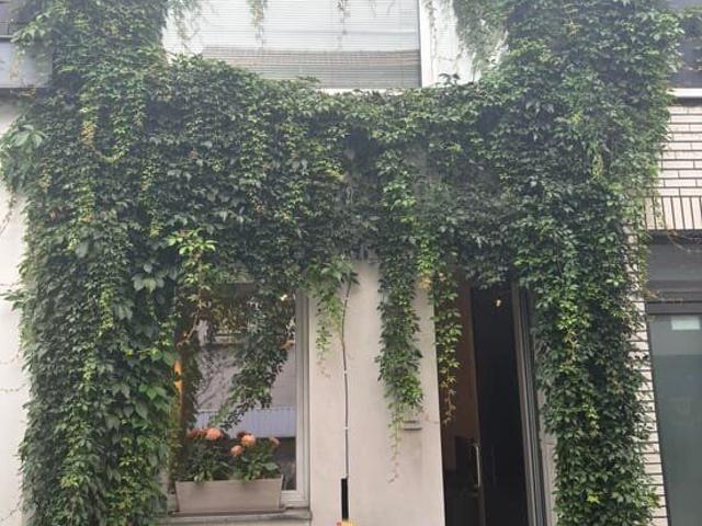 Charmante petite maison au coeur d'Anvers