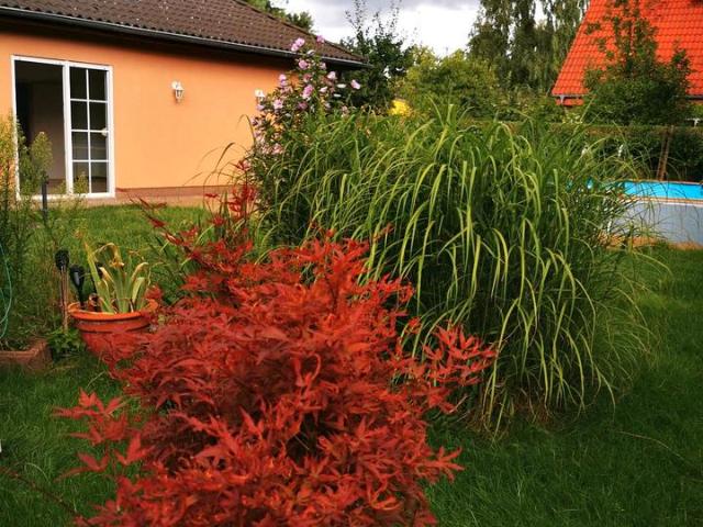 Charmanter Bungalow mit Garten, Pool und viel Privatspäre