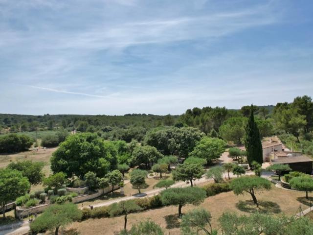 Charmantes maisons 130 m² au cœur d'un parc de plus d'un hectare