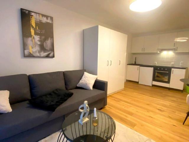 charmantes, möbliertes 1 Zimmer Appartment mit Garten *Erstbezug nach Sanierung