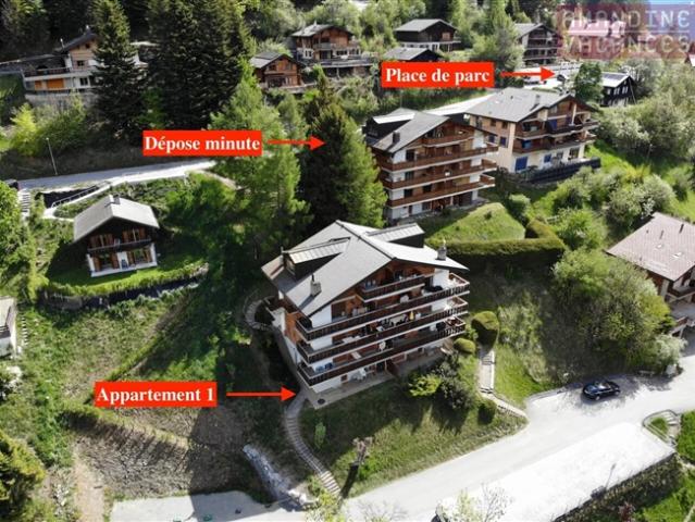Charmantes möbliertes Apartment in Ovronnaz, 1 Zimmer