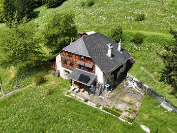 Schönes Reihenchalet inmitten von Narzissen