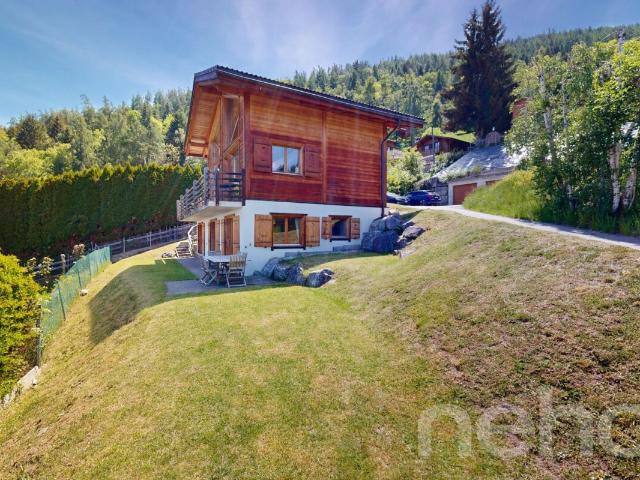 Charmantes Chalet in einem Zweithaus in Haute Nendaz