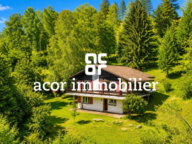 Charmantes Chalet in einer grünen Umgebung – Ruhe, Privatsphäre und Frieden