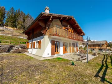 Charmantes Chalet mit Panoramablick