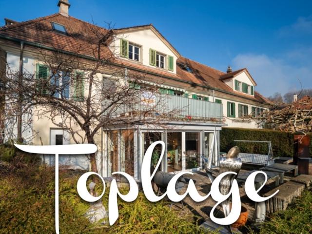 Charmantes Dreifamilienhaus mit Garten in Winterthur Veltheim