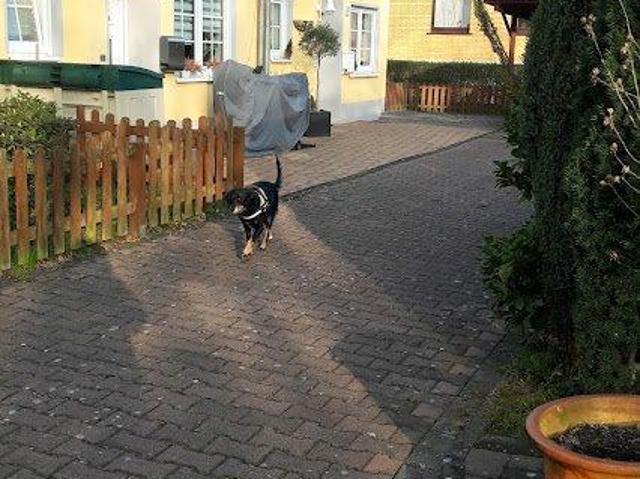 Charmantes Einfamilienhaus in bester Lage. Keine Makler bitte!