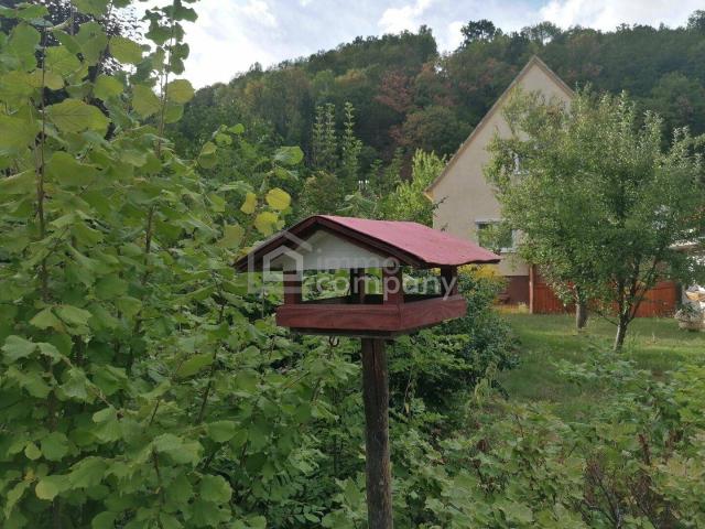 Charmantes Einfamilienhaus mit Garage, Werkstatt & großem Nebengebäude in Gloggnitz