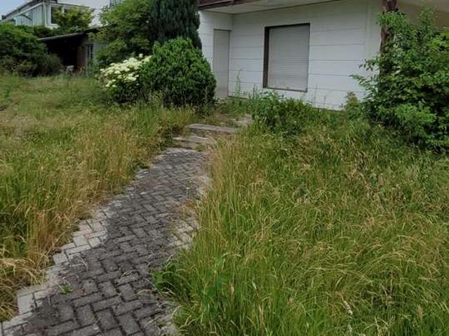 charmantes Einfamilienhaus mit Potenzial und angeschlossener Arztpraxis