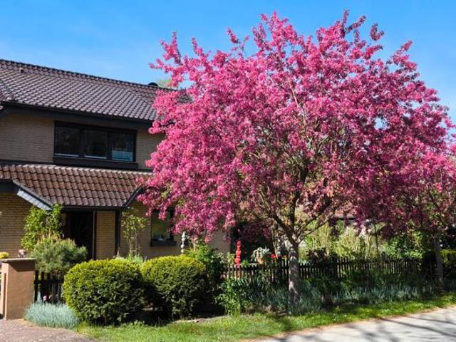 Charmantes Einfamilienhaus mit Wohlfühlgarten XXL Doppelgarage