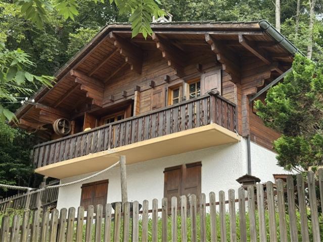 Charmantes Familienchalet in Gryon Barboleuse, Bergblick und friedliche Lage