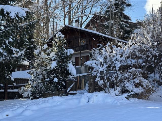Charmantes Familienchalet in Gryon Barboleuse, Bergblick und friedliche Lage