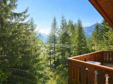 Charmantes Ferienchalet im Skigebiet