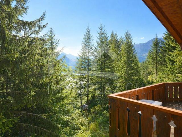 Charmantes Ferienchalet im Skigebiet