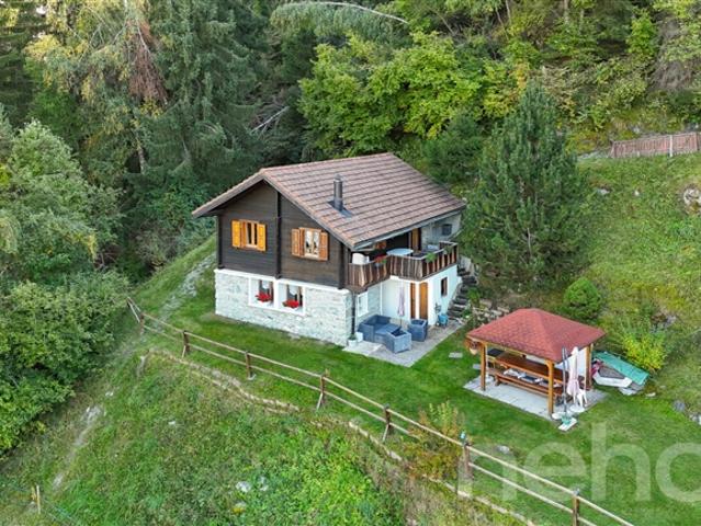 Charmantes Ferienhaus in ausgezeichnetem Zustand