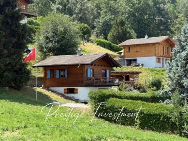 CHARMANTES, FREISTEHENDES CHALET IM HERZEN DER NATUR