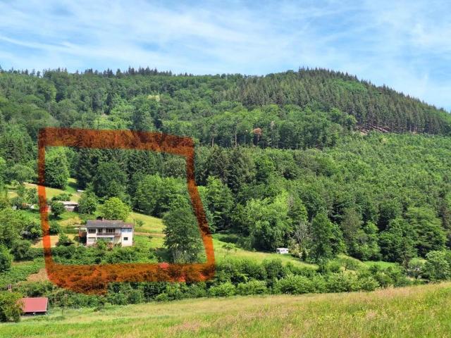Charmantes Haus in Traumlage am Rande von Ettenheimmünster