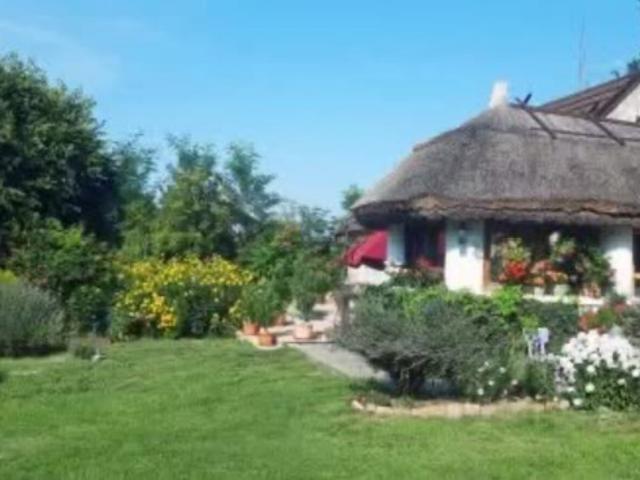 Charmantes Landhaus in Fehértó mit Garten, Kamin & Stellplätzen – 3 Zimmer, 127m²!