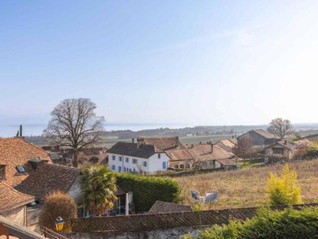 Charmantes, renoviertes Haus im Herzen der Weinberge
