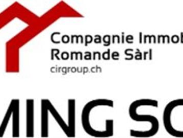 Charmantes renoviertes Haus in Saillon, nahe den Bädern und dem Dorf