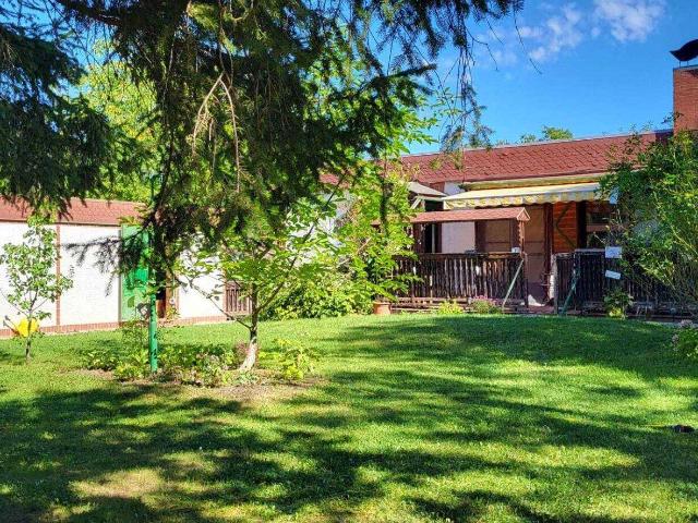 Charmantes Sommerhaus mit Potenzial in Pottendorf | ZELLMANN IMMOBILIEN