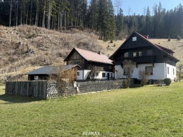Charmantes teilsaniertes Landanwesen mit 10.978 m² Grund – Ruhe, Natur und vielseitige Nutzungsmöglichkeiten nur wenige Minuten zum grünen See