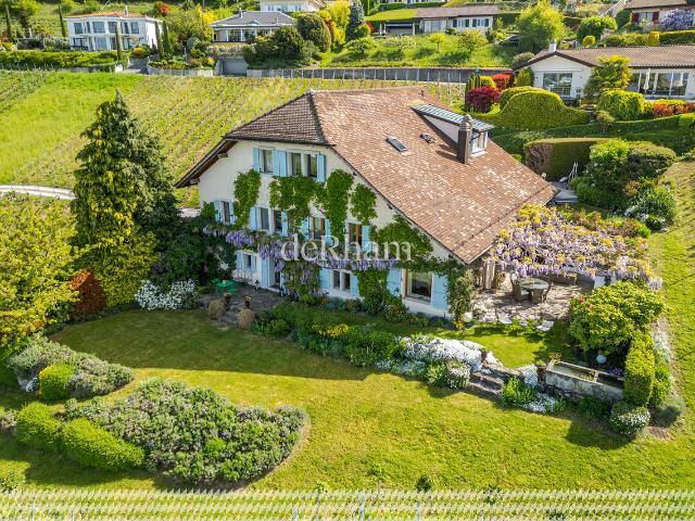 Charmantes Winzerhaus Im Herzen der Weinberge Blick auf den Genfer See
