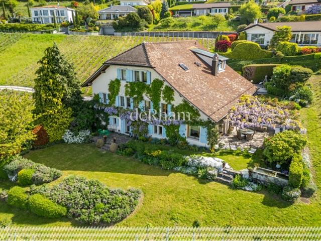 Charmantes Winzerhaus Im Herzen der Weinberge Blick auf den Genfer See