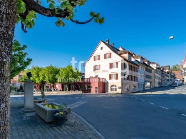 Charmantes Wohn und Geschäftshaus