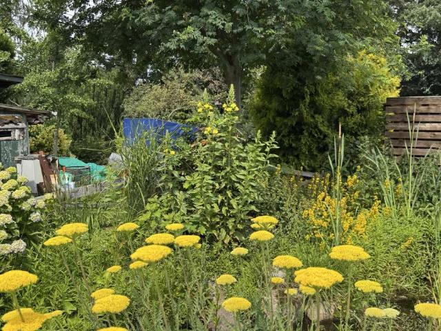 Charmantes Zweifamilienhaus mit viel Potenzial – hier wird aus zwei Zuhause eins zum Wohlfühlen!