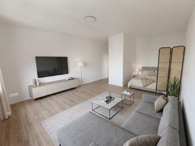 Charmantes 1,5 Zimmer Appartment mit Pantry Küche und KFZ Stellplatz Frei nach Absprache