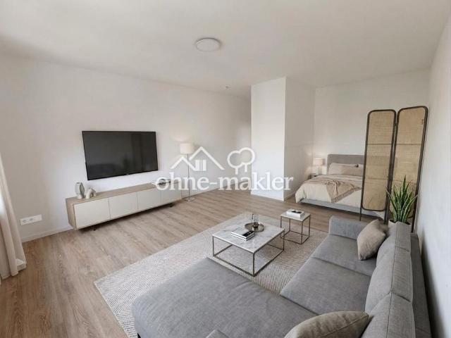 Charmantes 1,5 Zimmer Appartment mit Pantry Küche und KFZ Stellplatz Frei nach Absprache