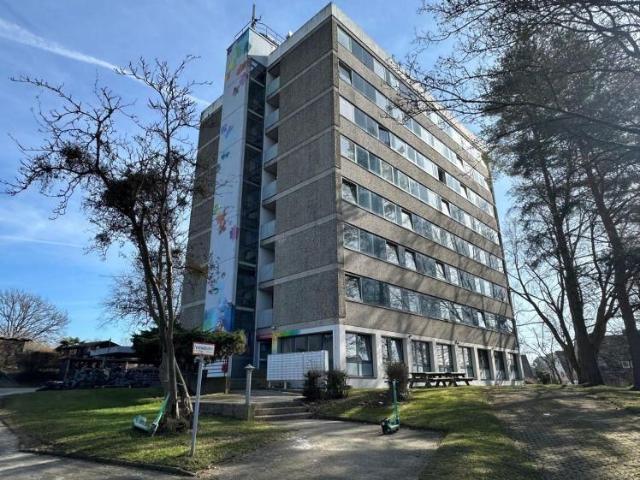 Charmantes 1 Zimmer Appartement in der Ortelsburger Straße, Hildesheim Erstbezug nach Sanierung